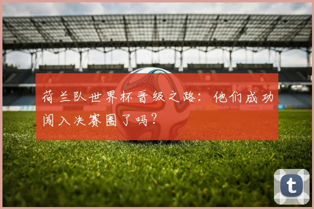 荷兰队世界杯晋级之路：他们成功闯入决赛圈了吗？